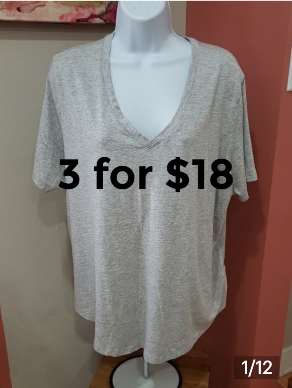 Terra & Sky Women's V-Neck Tee - Heather Gray, 1X (16W-18W)